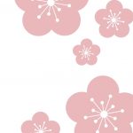 The Cherry Blossom Salon